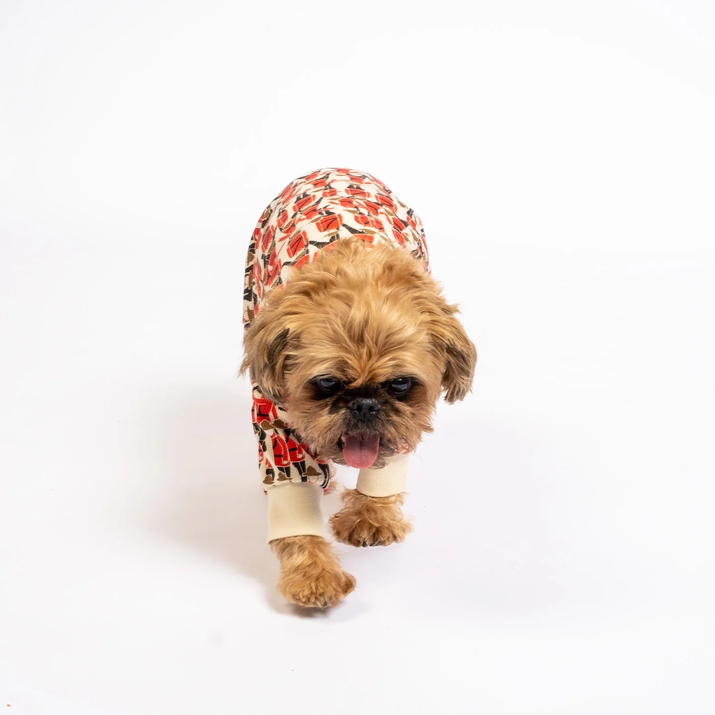 Mountie - Dog - Image 3