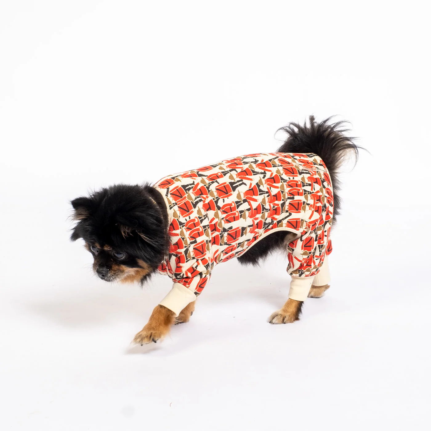 Mountie - Dog - Image 5